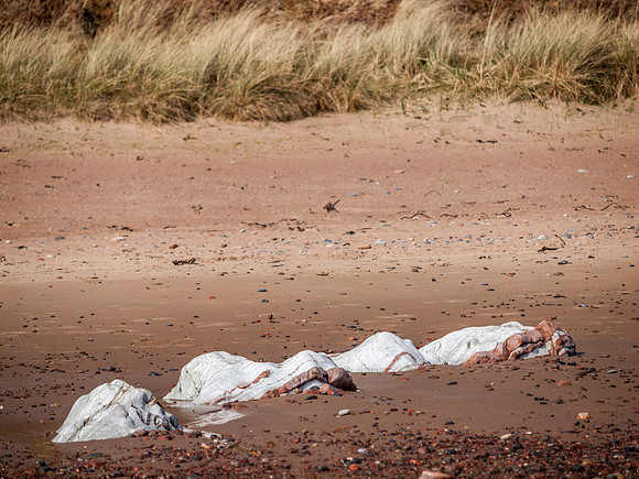 Rosemarkie Beach 1