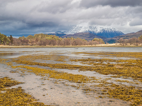 Ardgour 5