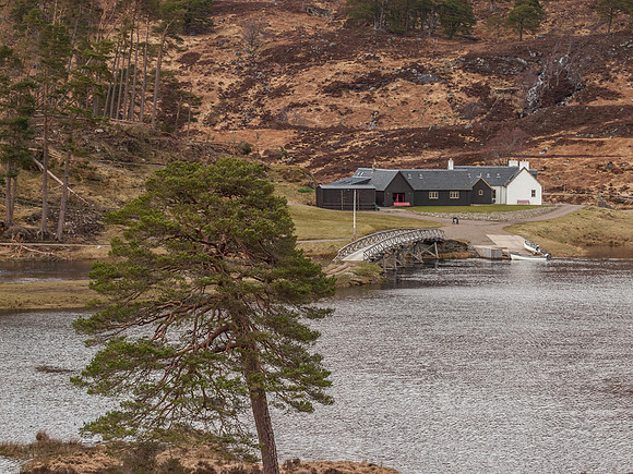 Loch Affric Circular Walk 19