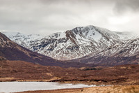Loch Affric Circular Walk 7