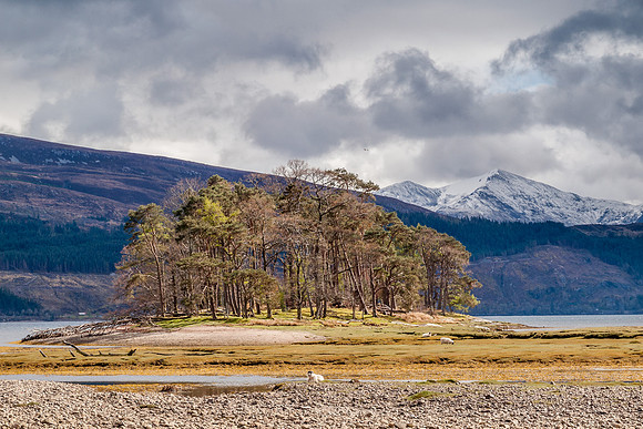 Ardgour 1