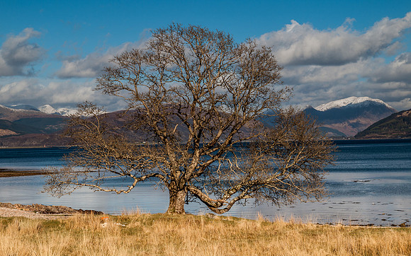 Ardgour 14
