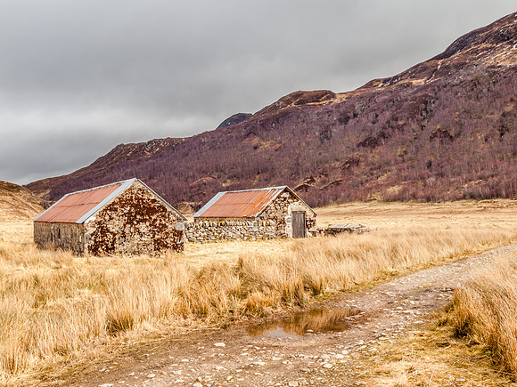 Loch Affric Circular Walk 10