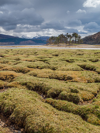 Ardgour 2