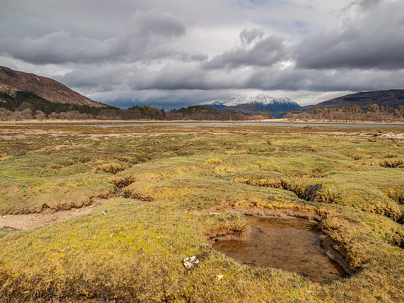 Ardgour 6