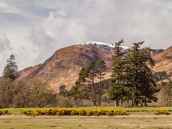 Ardgour 4