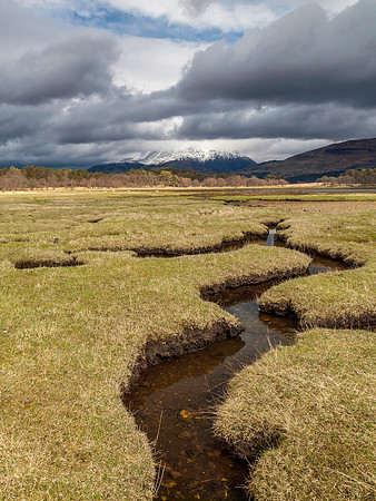 Ardgour 7