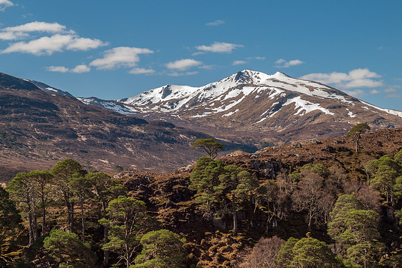 Glen Strathfarrar Walk 2