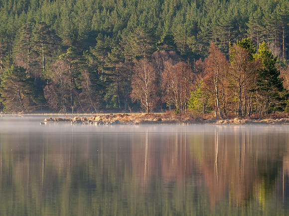 Loch Morlich 3