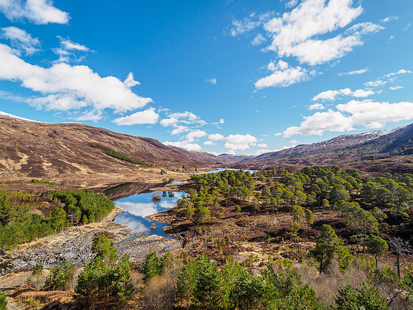 Glen Cannich Reflection