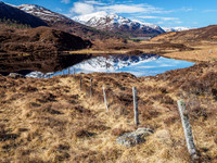 Glen Cannich Reflection