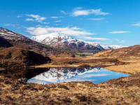 Glen Cannich Reflection