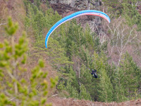 Paraglider