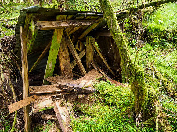 Roadman's Shelter