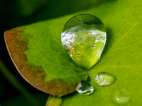 Droplet 1