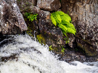 River Farrar at Pollcherian