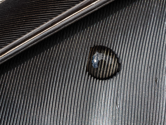 Droplet 2