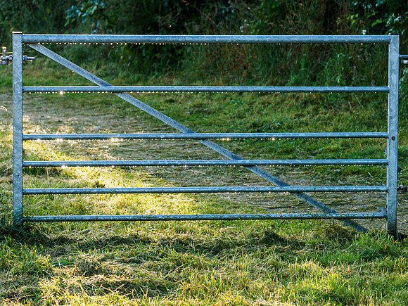 Droplets on a Gate