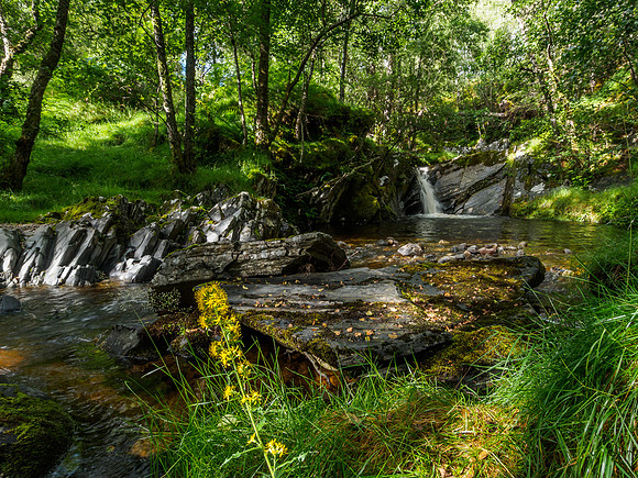 Neaty Burn Falls 1