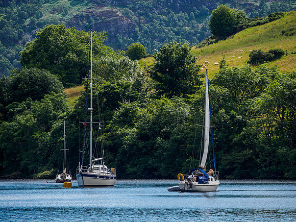 Urquhart Bay Boats