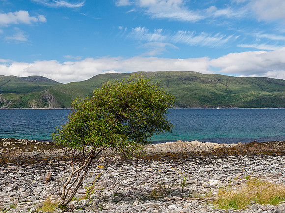 Sandaig August 2015 4