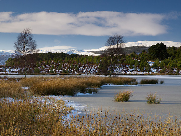 20130126-Loch Vaa-R1262712