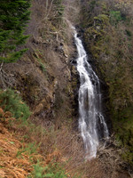 Dhivach