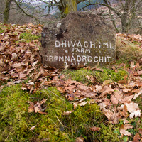 Dhivach