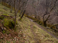 Dhivach