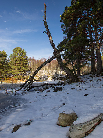 20130126-Loch Vaa-R1262732