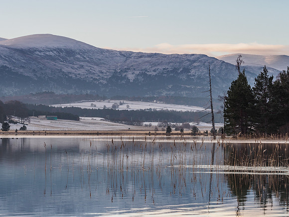 Loch Pityoulish (2) [1901022]