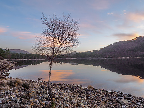 Loch Beinn a' Mheadhoin  (6) [1901012]