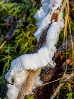 Hair Ice (1) [1901015]