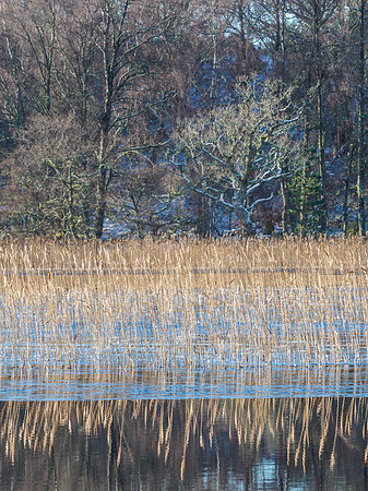 Loch Pityoulish (7) [1901027]