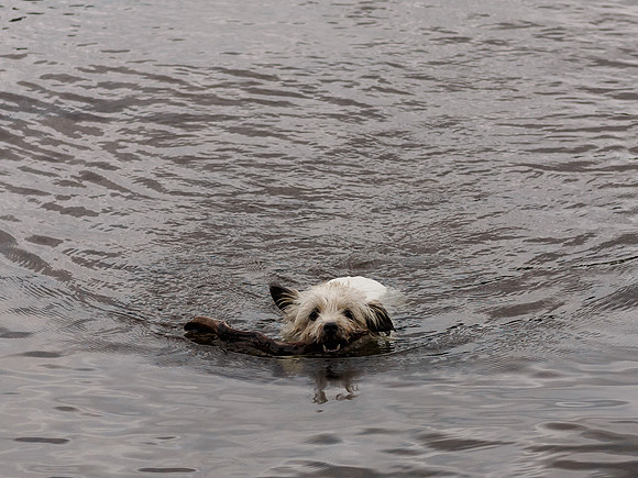 Loch Ness Monster