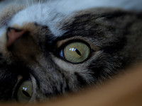 20110123-Charlie-P1230266