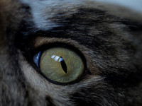 20110123-Charlie-P1230266-2