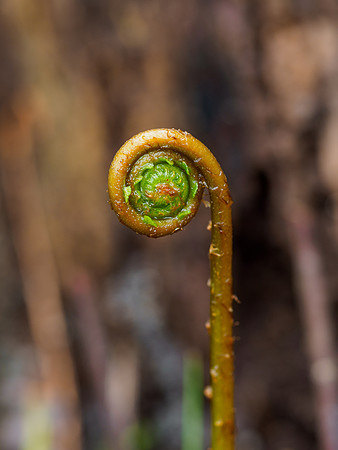 20220508-Garden-EM124636