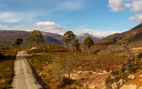 Spring in Glen Cannich