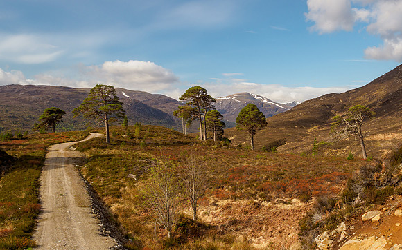 Spring in Glen Cannich