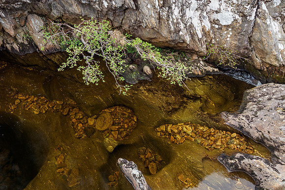 20220502-Glen Strathfarrar-M12A2339-Edit