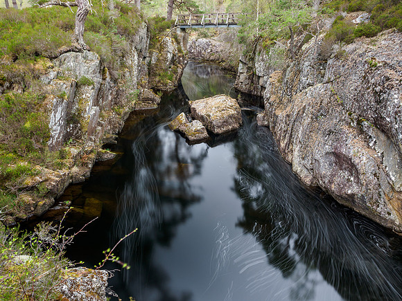 River Farrar Focus