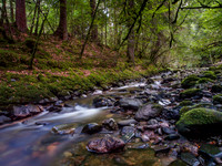 Moniack Burn 5