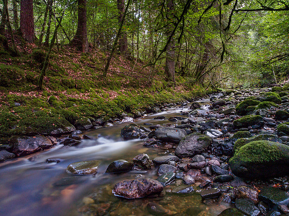Moniack Burn 5