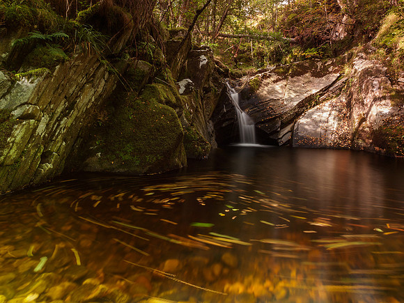 Neaty Burn 3