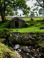 Bracorina Tin Shed