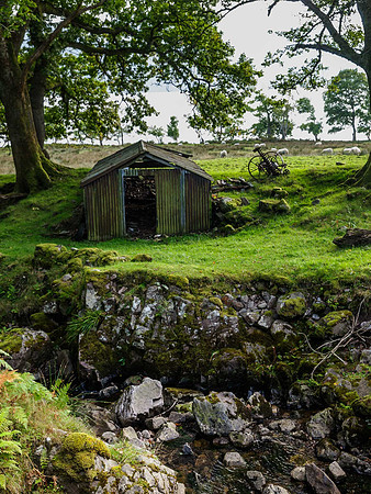 Bracorina Tin Shed