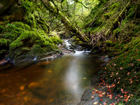 Moniack Burn 3