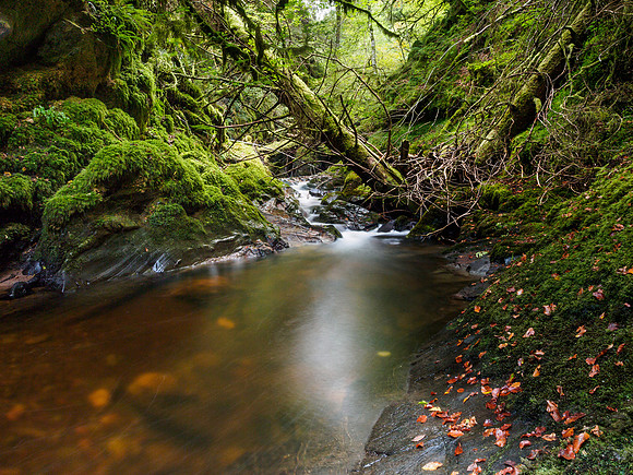 Moniack Burn 3