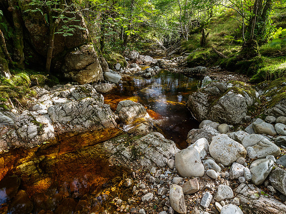 Neaty Burn 4